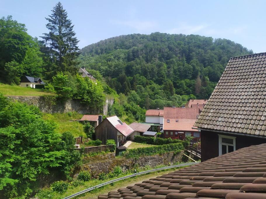 Haus Am Wald Zorge 16+ Gaeste Walkenried المظهر الخارجي الصورة