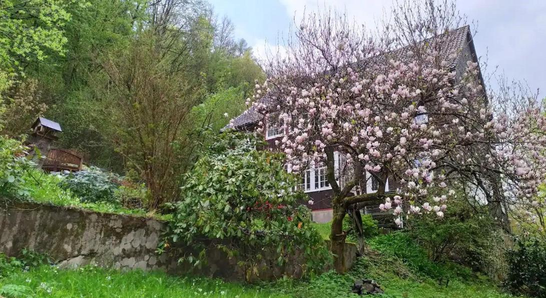 Haus Am Wald Zorge 16+ Gaeste Walkenried المظهر الخارجي الصورة