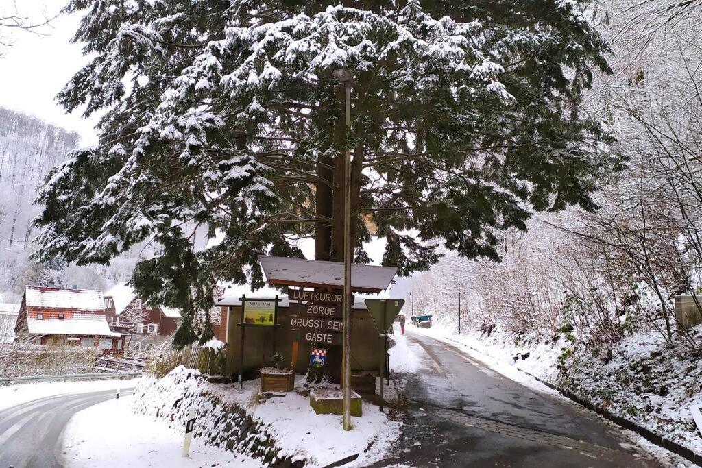 Haus Am Wald Zorge 16+ Gaeste Walkenried المظهر الخارجي الصورة