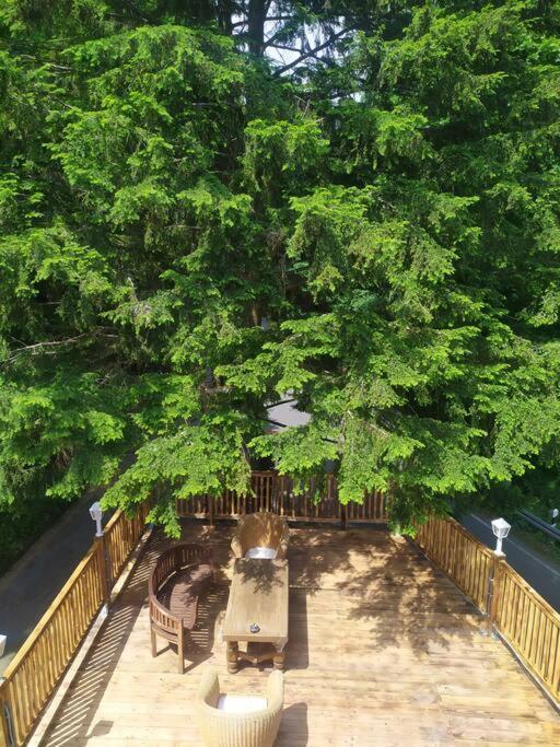 Haus Am Wald Zorge 16+ Gaeste Walkenried المظهر الخارجي الصورة